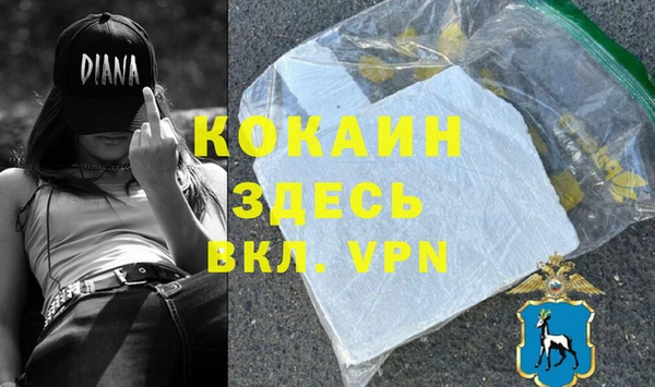 мяу мяу мука Рославль