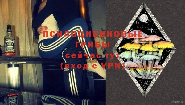 бошки Вяземский