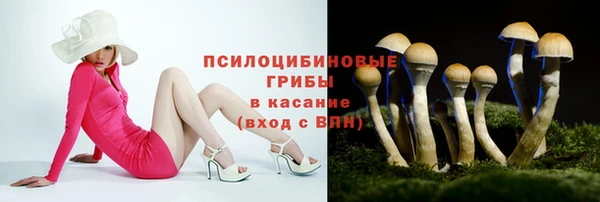 бошки Вяземский