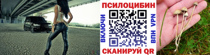 ссылка на мегу ONION  Демидов  Галлюциногенные грибы мухоморы 